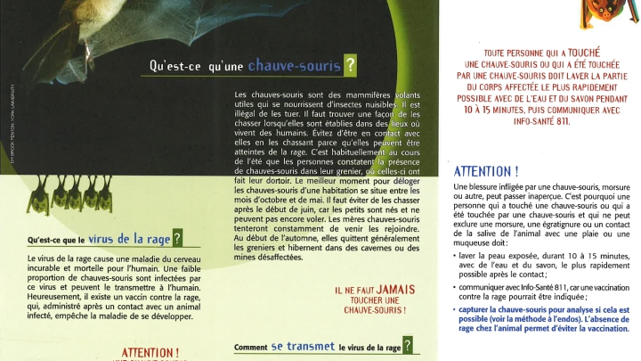 Qu'est ce qu'une chauve-souris?