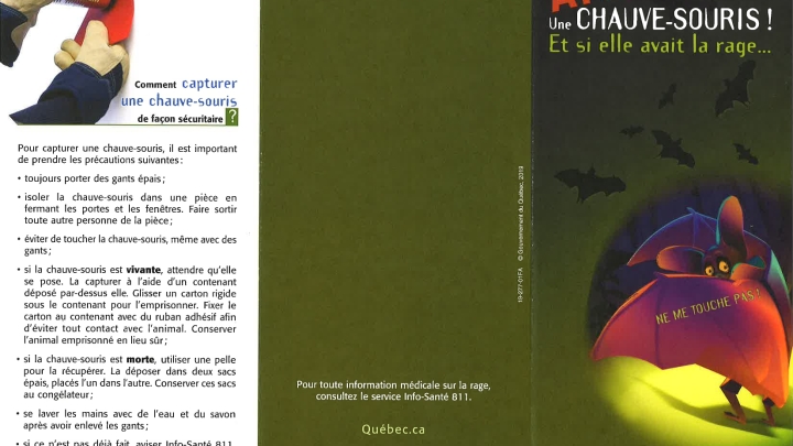 Attention aux chauve-souris! Et si elle avait la rage?
