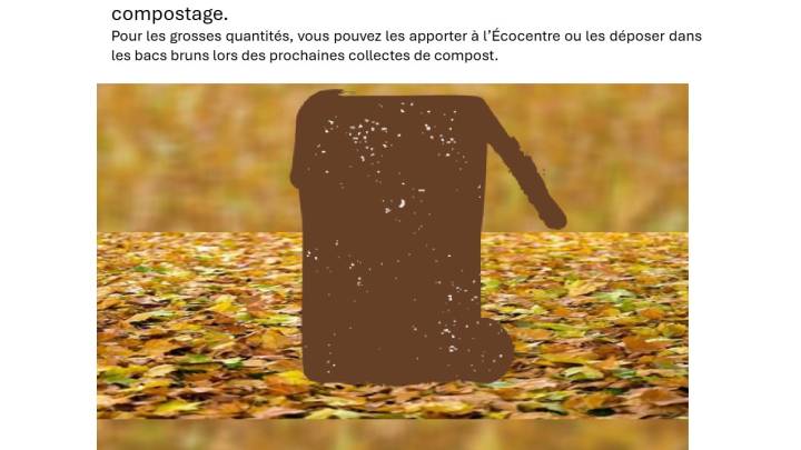collecte de feuilles mortes- 2 novembre