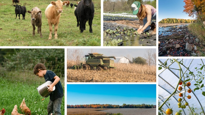 MRC- Développement et mise en valeur de la zone agricole
