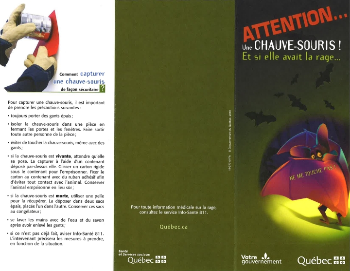 Attention aux chauve-souris! Et si elle avait la rage?