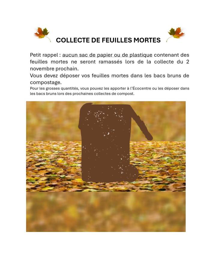 collecte de feuilles mortes- 2 novembre