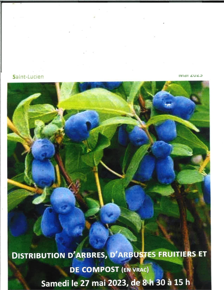 Distribution d'arbres et compost (en vrac)