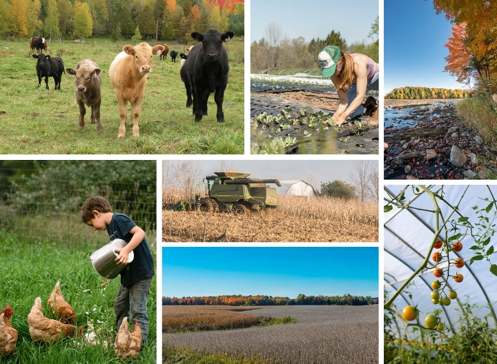 MRC- Développement et mise en valeur de la zone agricole