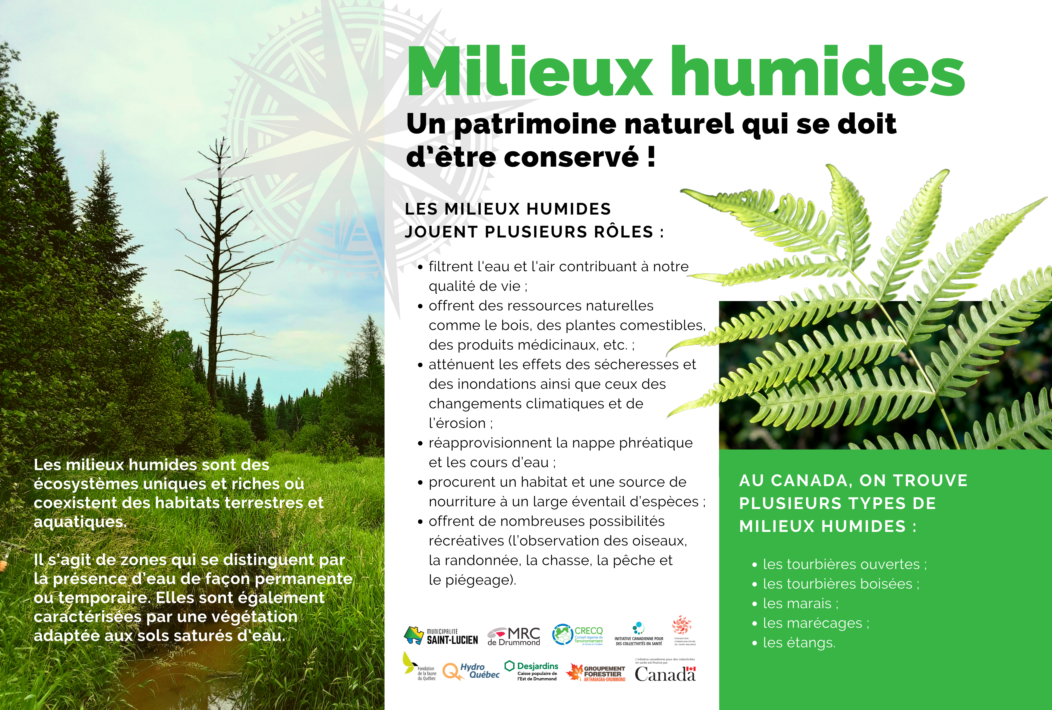 Milieux_humides