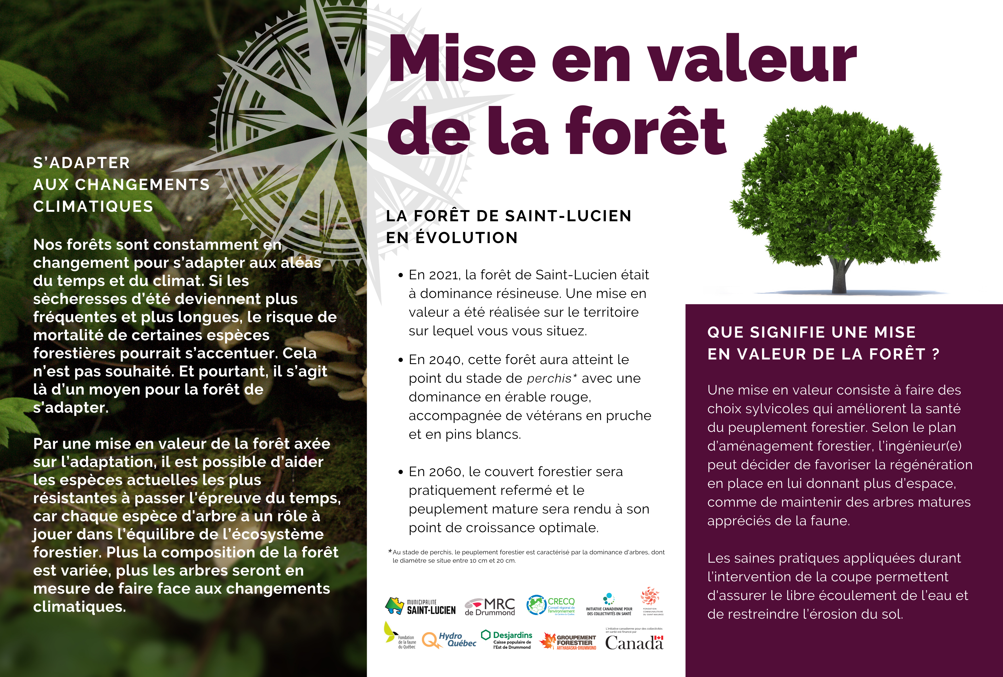 Valeur_foret