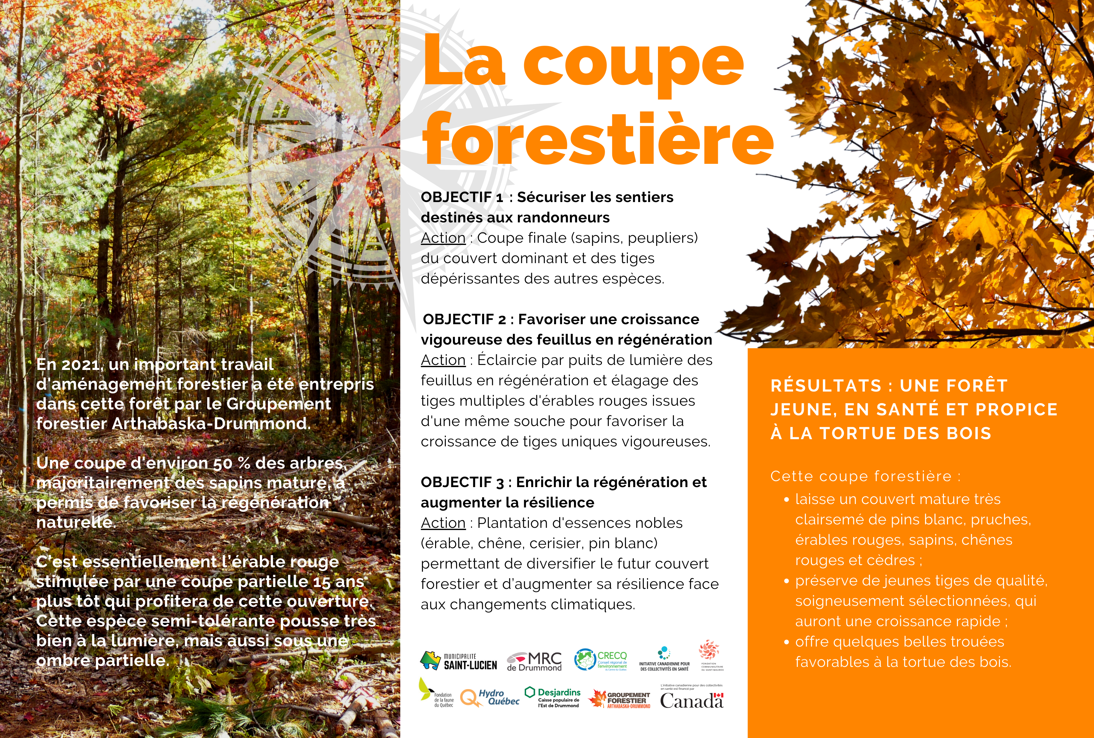 Foret